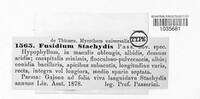 Fusidium stachydis image